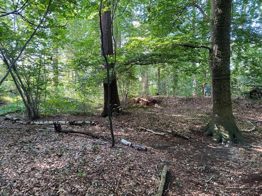 Villa De Springop Eefde Esterno foto